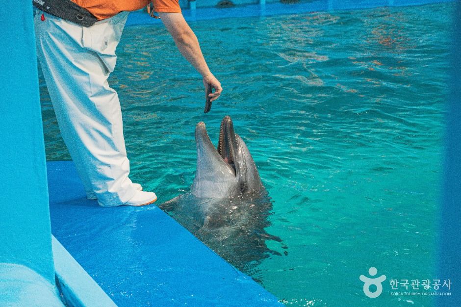 울산 장생포 고래생태체험관 이미지 3