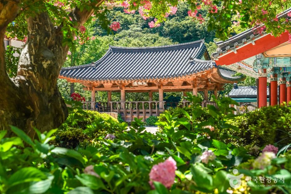 오어사(포항) 이미지 3