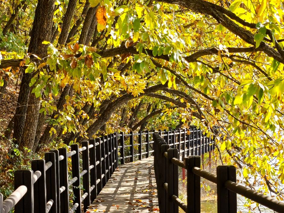 금광호수 이미지 4