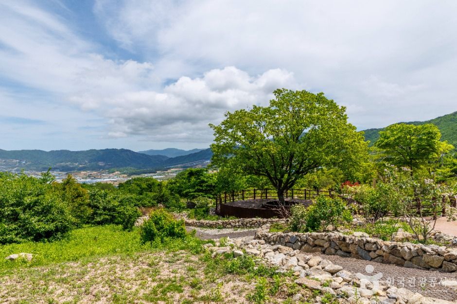 국립DMZ자생식물원 이미지 5