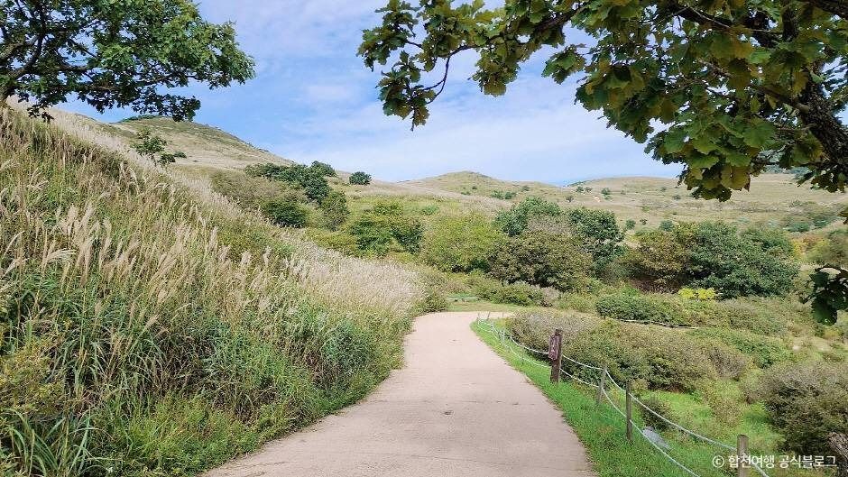 합천 황매산 억새군락지 이미지 2