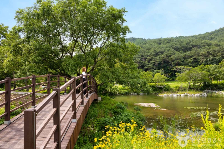 고창 운곡람사르습지 이미지 3