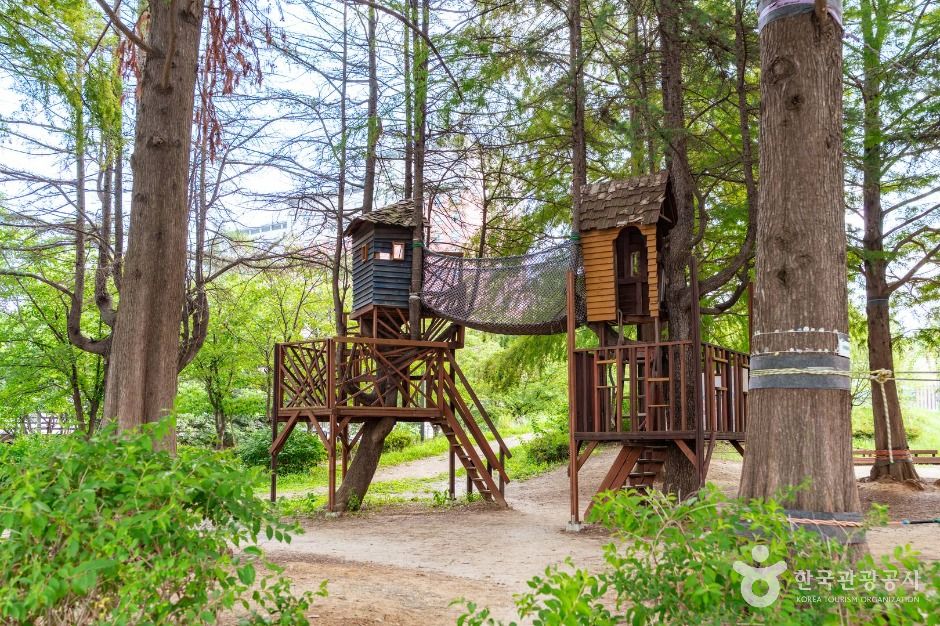 전주 덕진공원 이미지 7