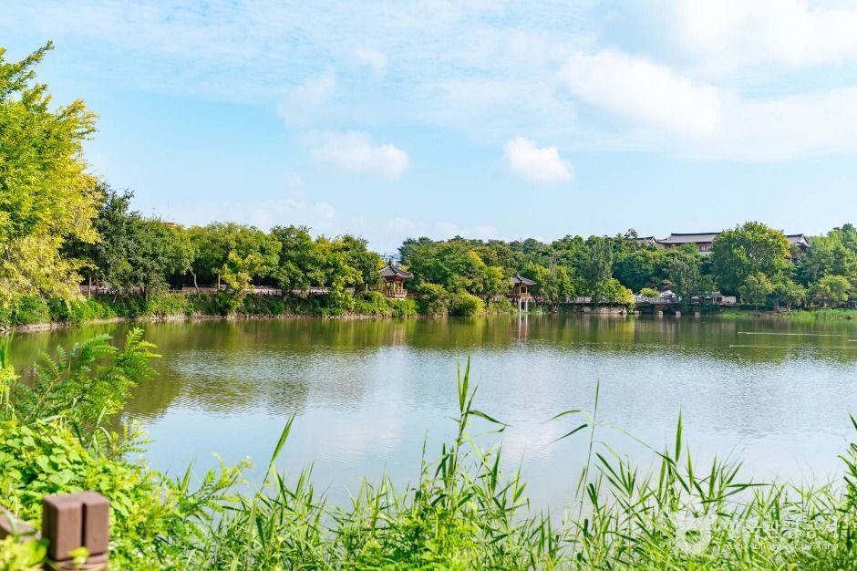 전주 덕진공원 이미지 3