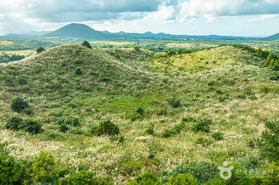 제주 손지오름 이미지 3