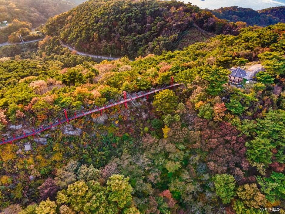 옹진 부아산 구름다리 이미지 2