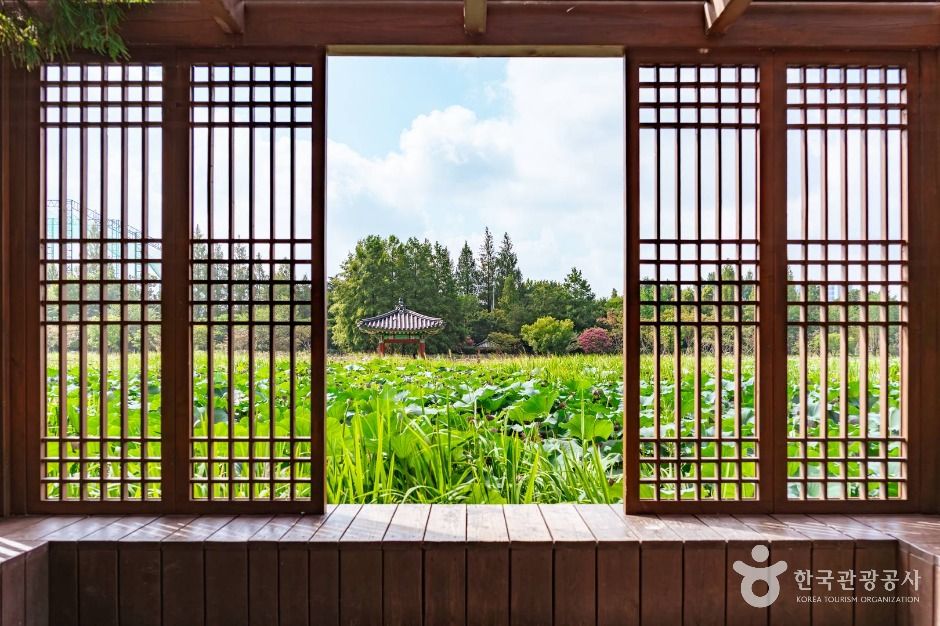 전주 덕진공원 이미지 6