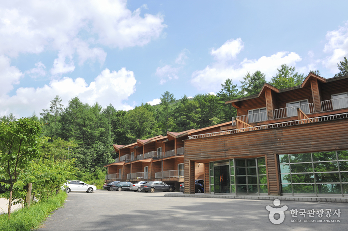 가평 국립 유명산 자연휴양림 이미지 1