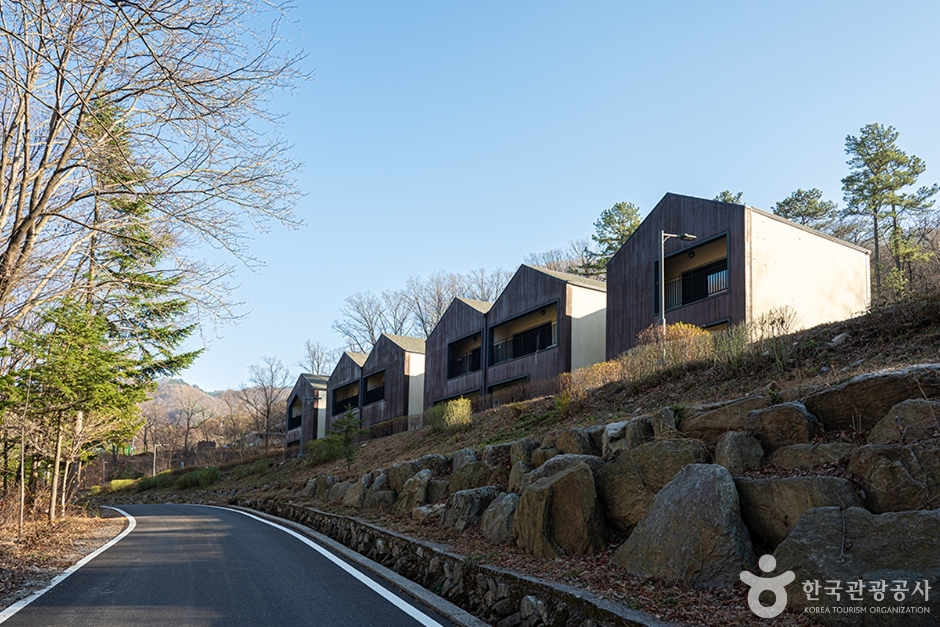 가평 국립 유명산 자연휴양림 이미지 2