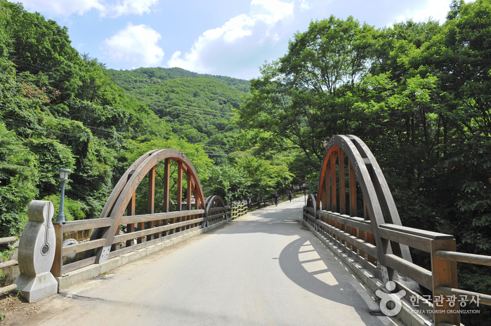 가평 국립 유명산 자연휴양림 이미지 6