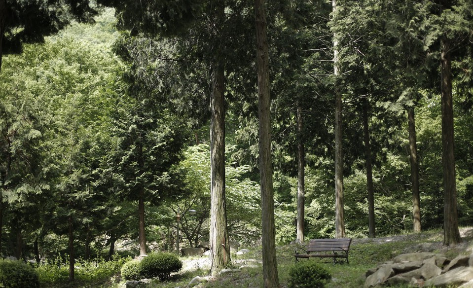 국립장성숲체원 이미지 5