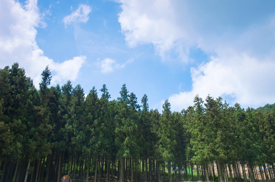 국립장성숲체원 이미지 3