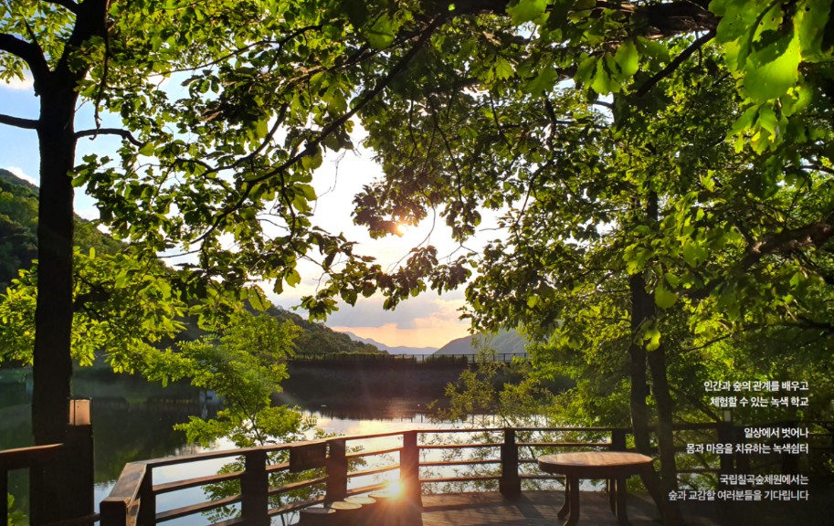 국립 칠곡숲체원 이미지 4