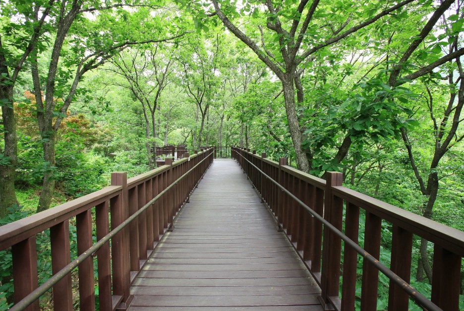 국립장성숲체원 이미지 4