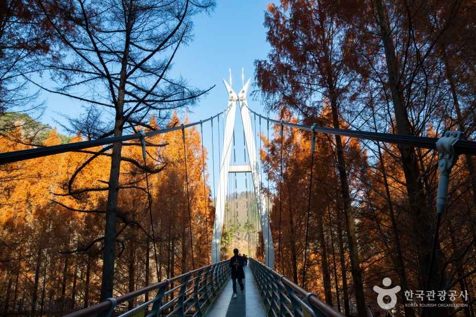 대전 장태산 자연휴양림 이미지 6