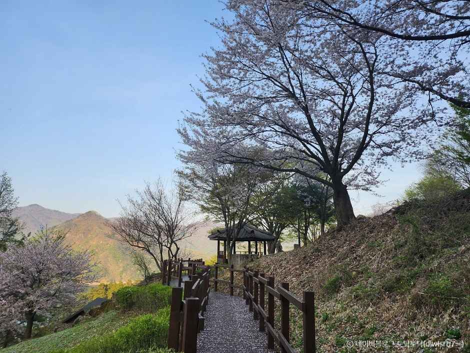 충주 계명산 자연휴양림 이미지 2