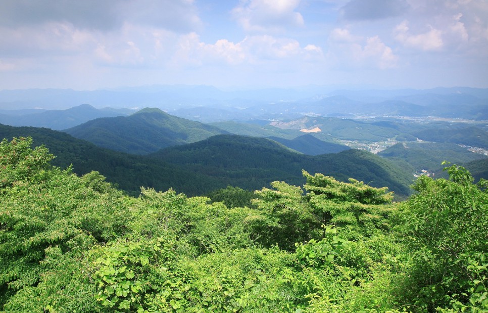 국립장성숲체원 이미지 2