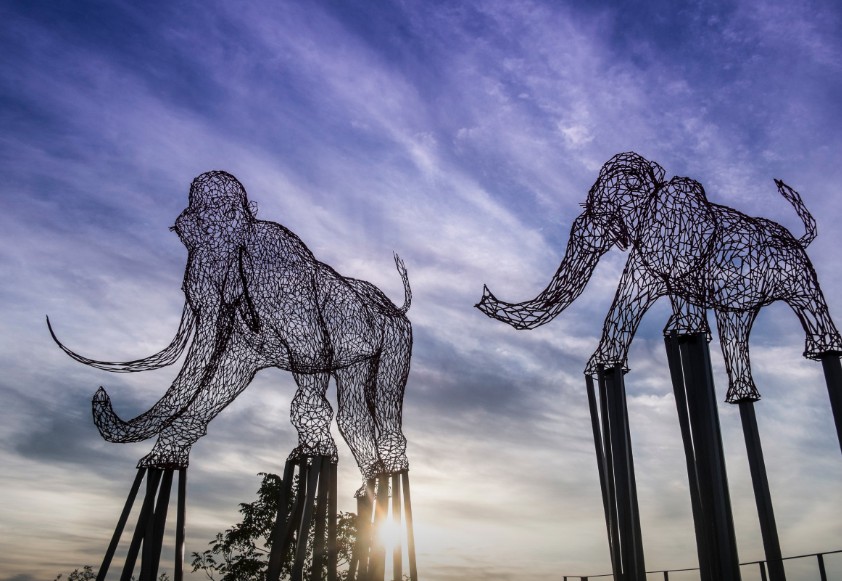 강릉 하슬라아트월드 이미지 3