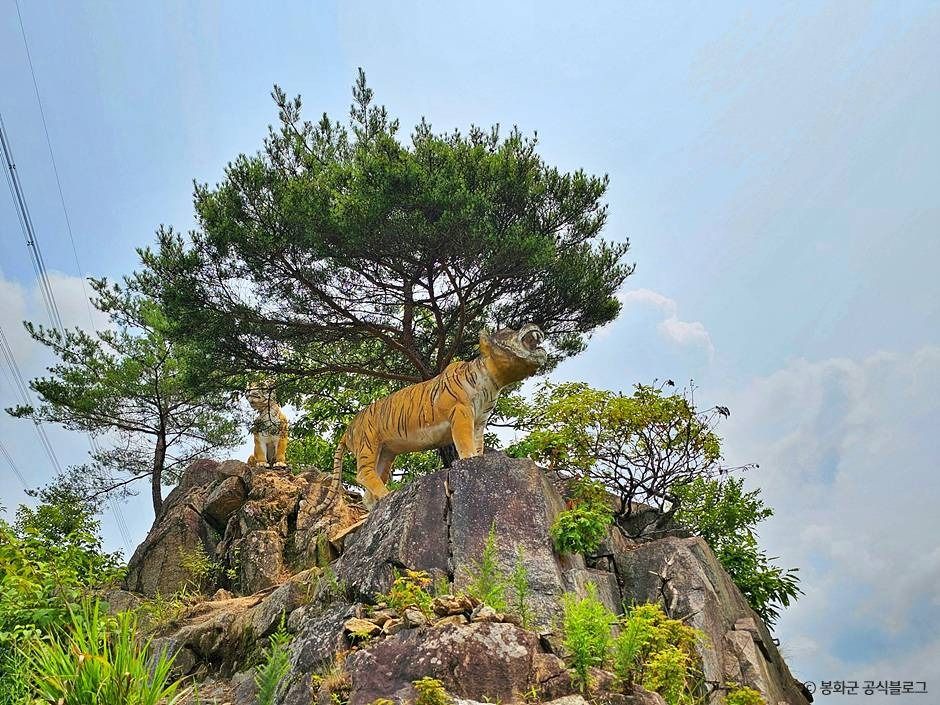 봉화 범바위 전망대 _한반도 지형 이미지 4