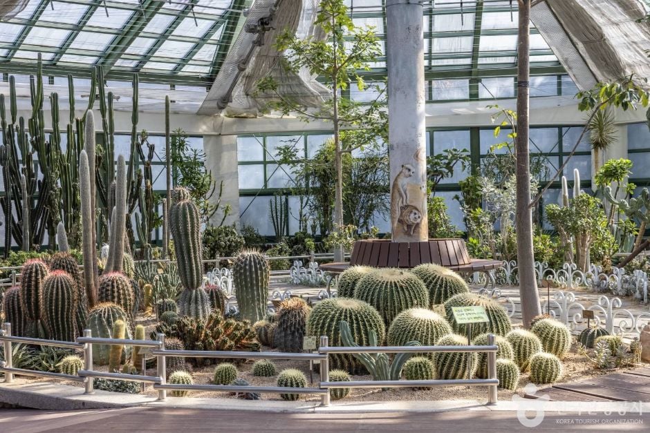 청주 미동산수목원 이미지 8