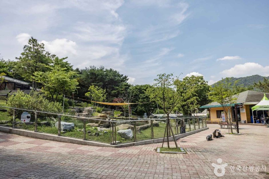 청주 동물원 이미지 3