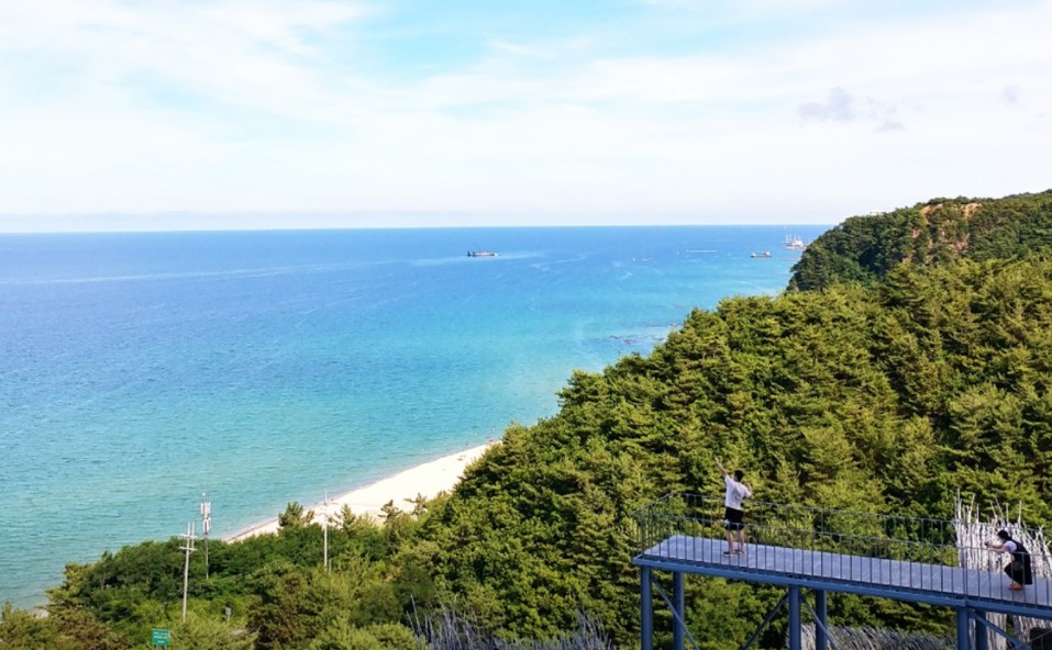 강릉 하슬라아트월드 이미지 9