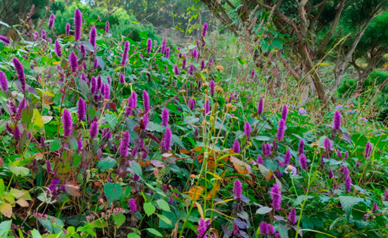 포천 나남수목원_추천 이미지 10