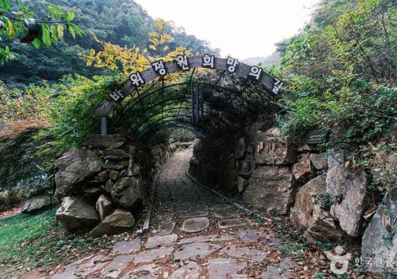 증평 좌구산자연휴양림 이미지 7