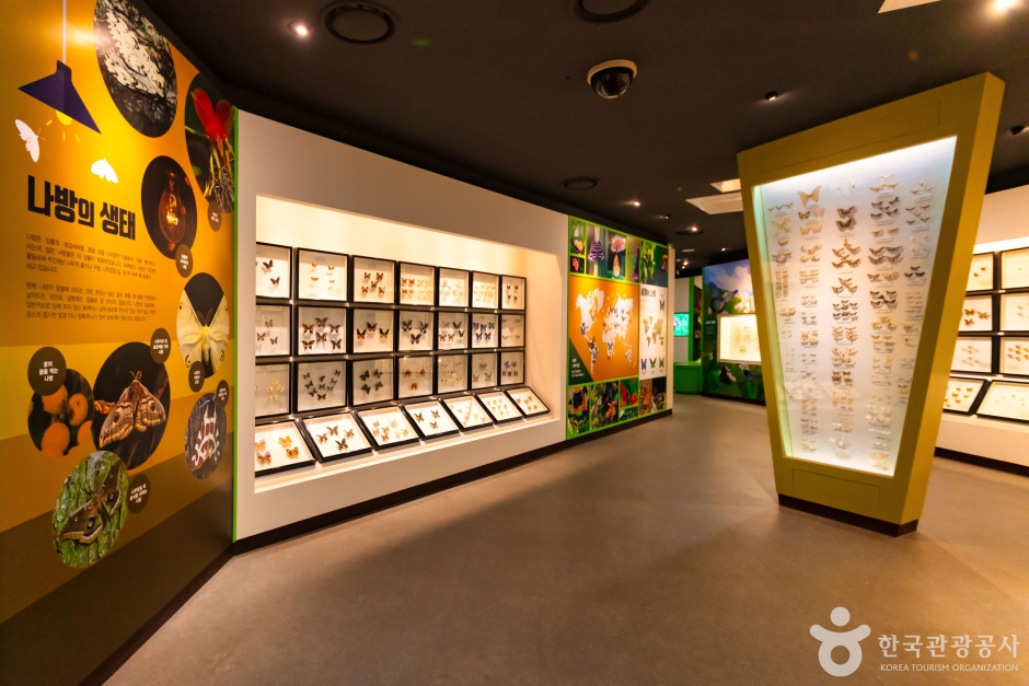 청주랜드 이미지 9