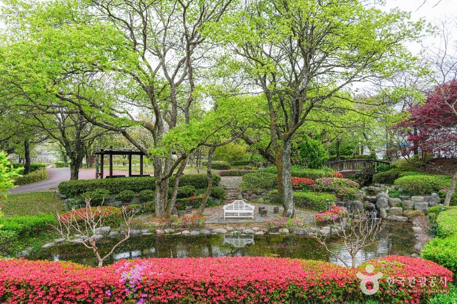 경주 엑스포대공원 이미지 3