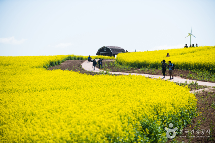 안성 팜랜드 이미지 1