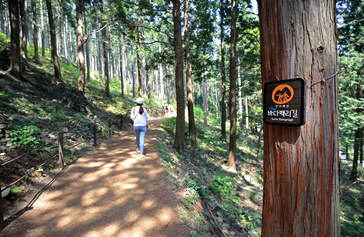 통영 용화사 이미지 6