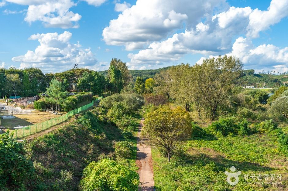충주 강변길 이미지 6