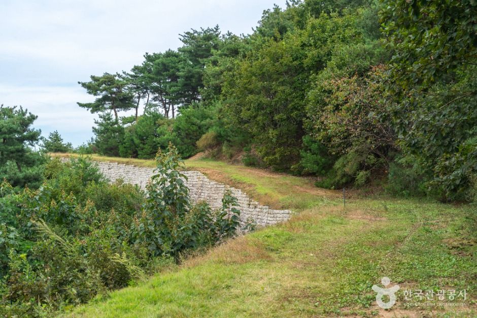 충주 장미산성 이미지 1