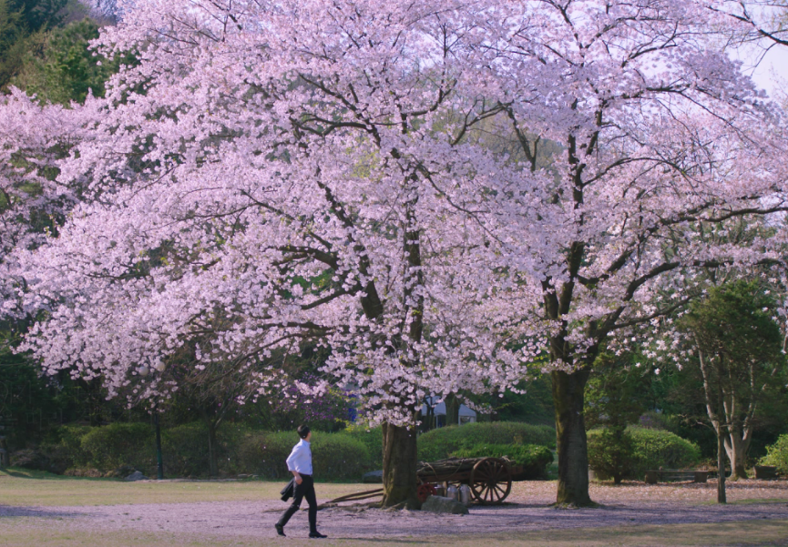 포천 서운동산 이미지 5