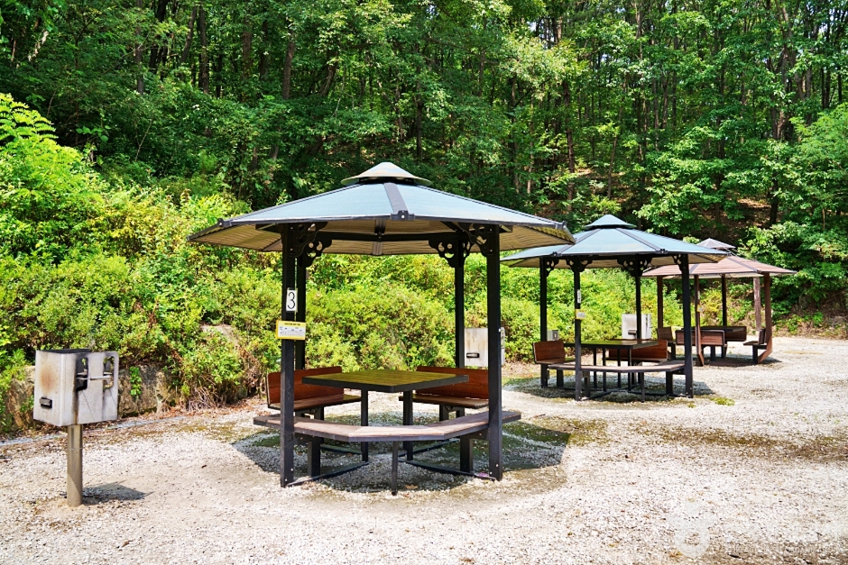 청주 상당산성 자연휴양림 이미지 7