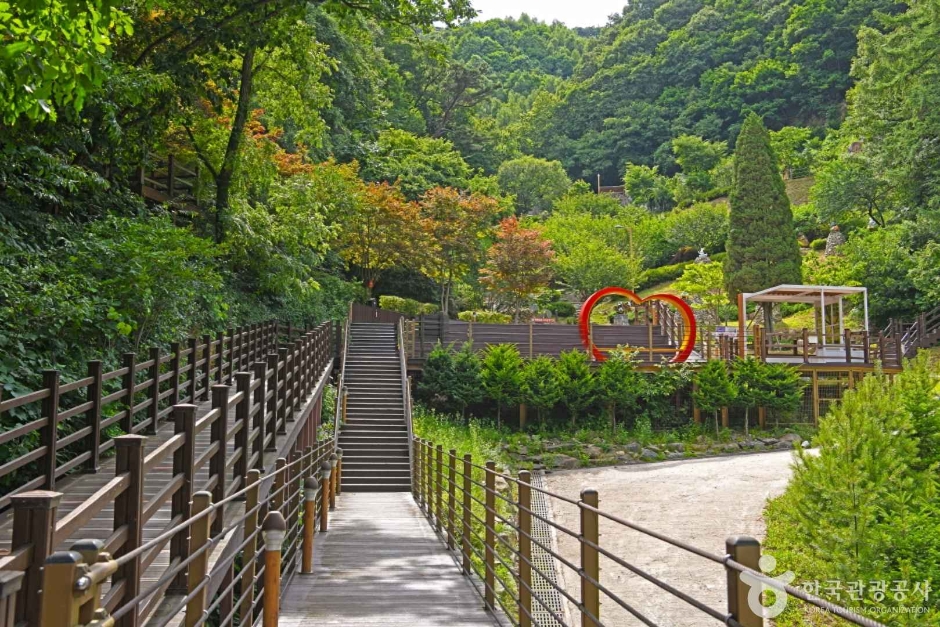 증평 좌구산 명상구름다리 이미지 5