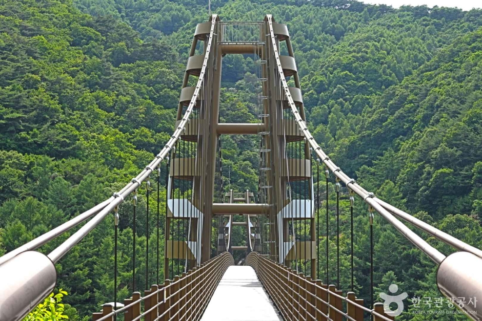 증평 좌구산 명상구름다리 이미지 6