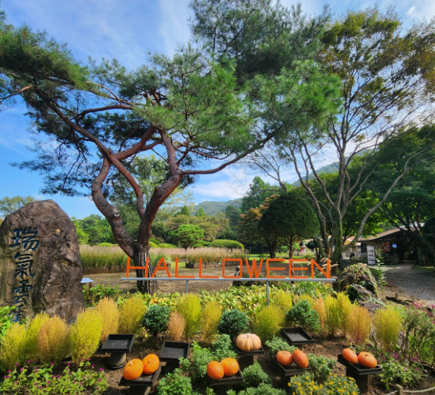 포천 서운동산 이미지 10