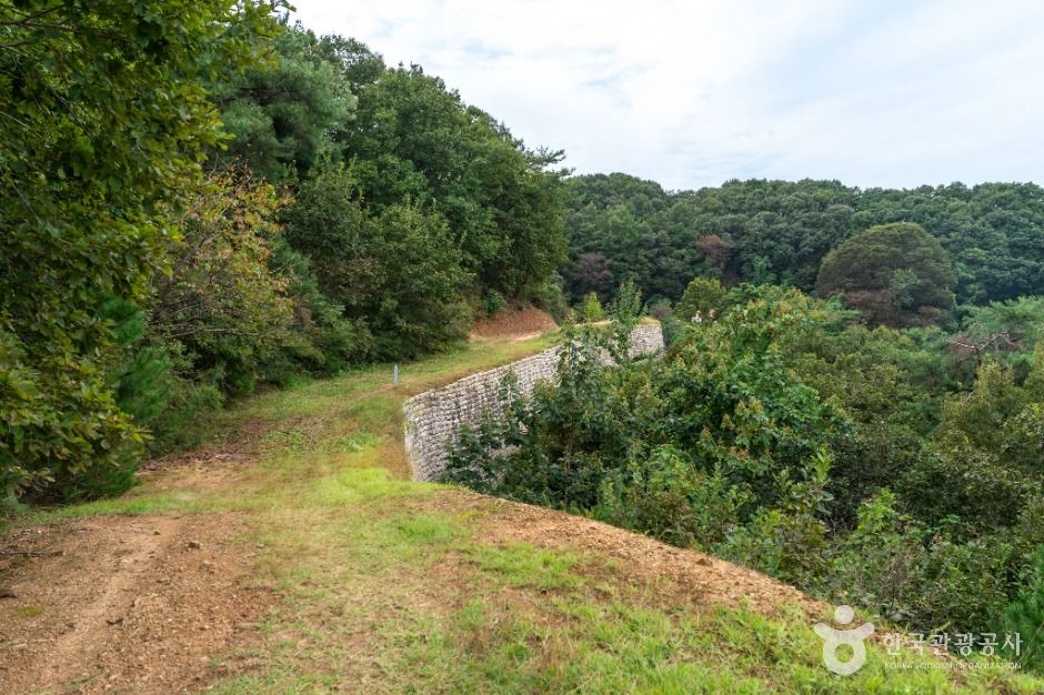 충주 장미산성 이미지 4