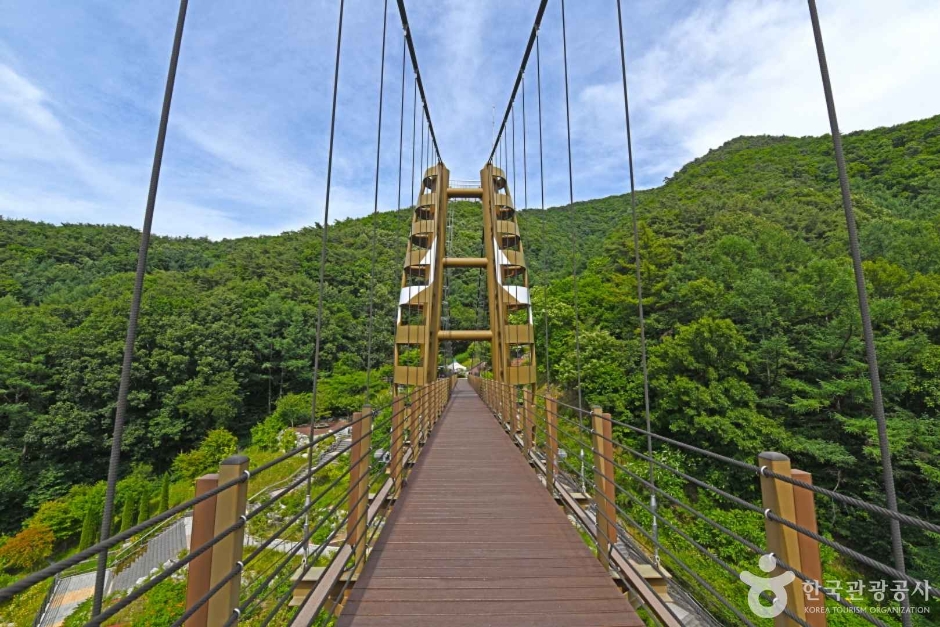 증평 좌구산 명상구름다리 이미지 4