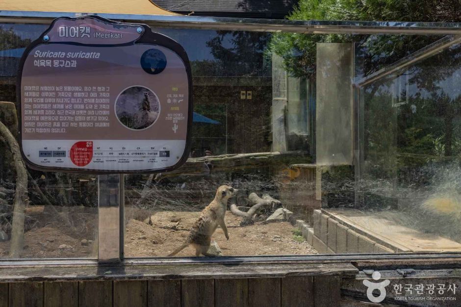 청주 동물원 이미지 5