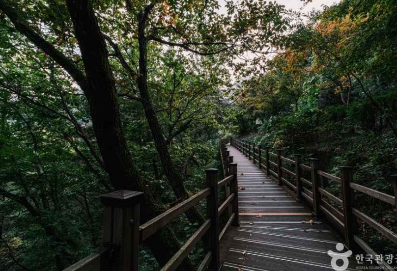 증평 좌구산자연휴양림 이미지 8