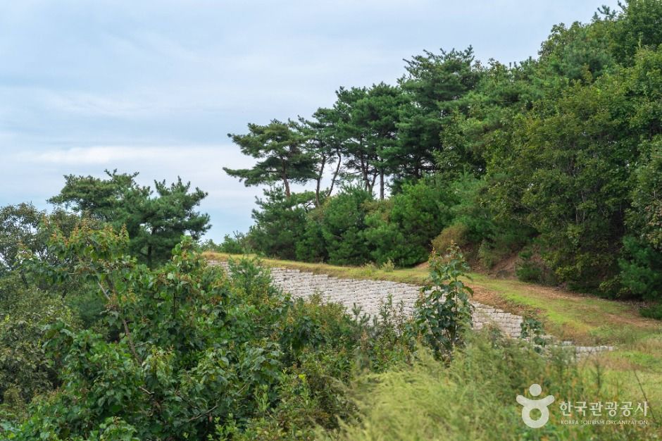 충주 장미산성 이미지 5