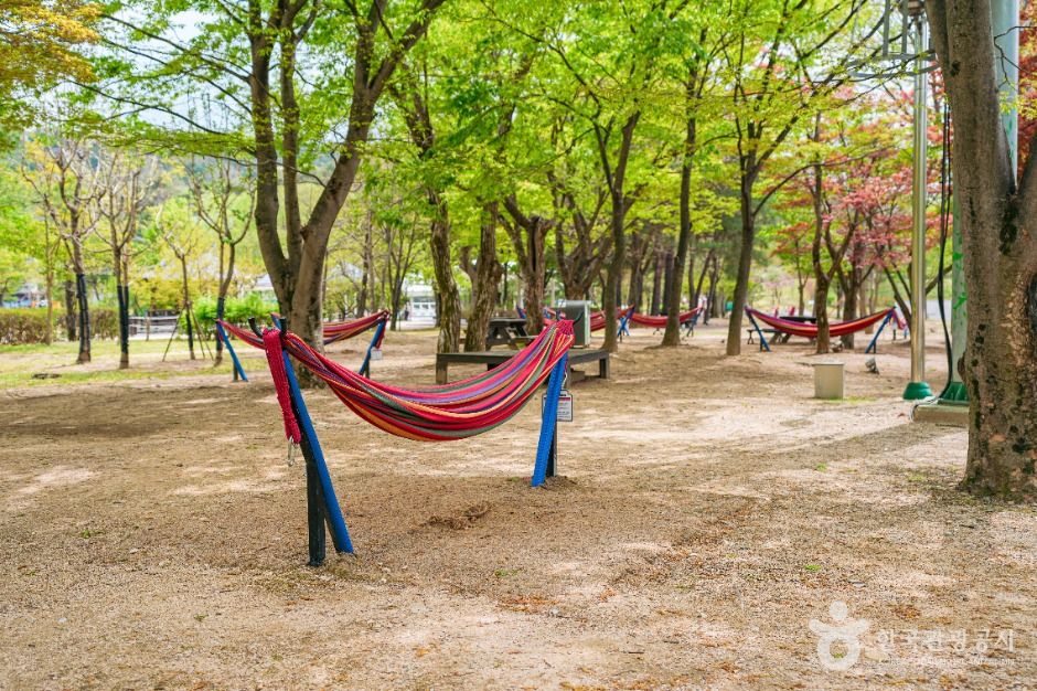 경주 엑스포대공원 이미지 6