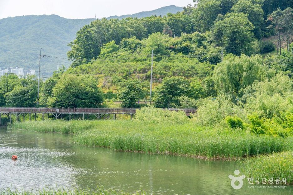 의왕 백운호수 생태탐방로 이미지 6