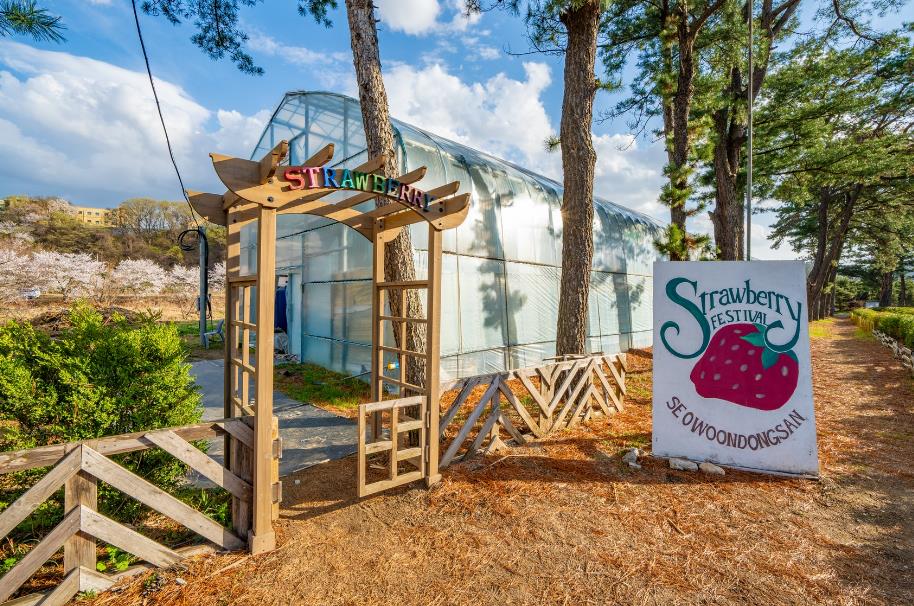 포천 서운동산 이미지 5