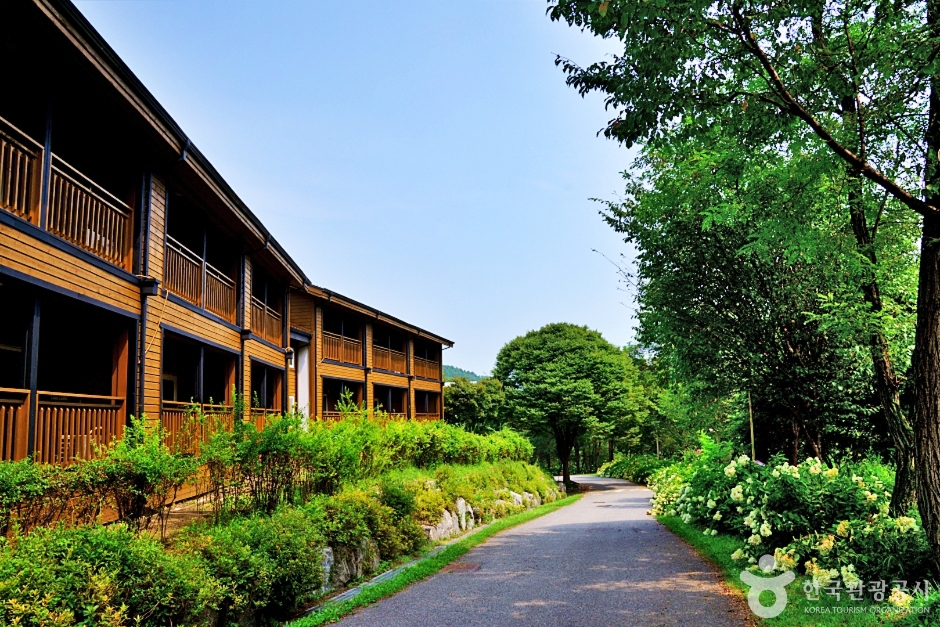 청주 상당산성 자연휴양림 이미지 3