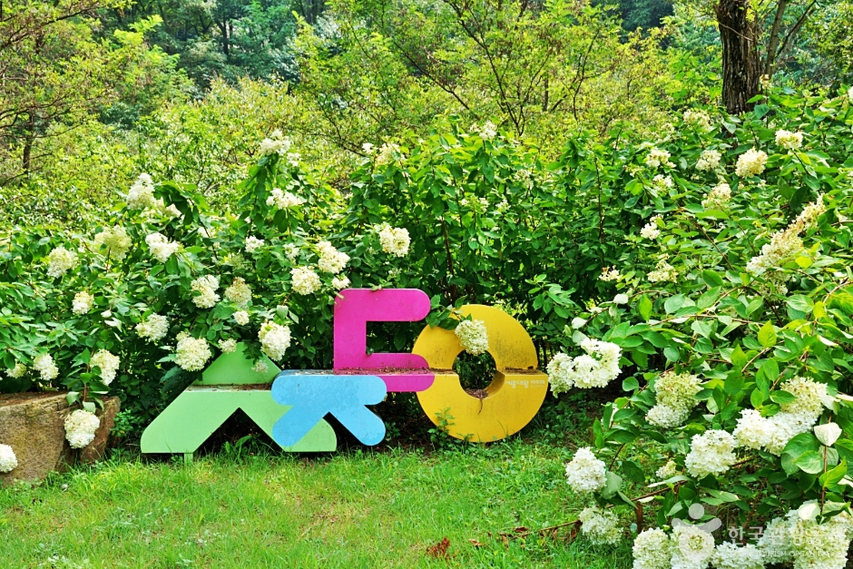 청주 상당산성 자연휴양림 이미지 5