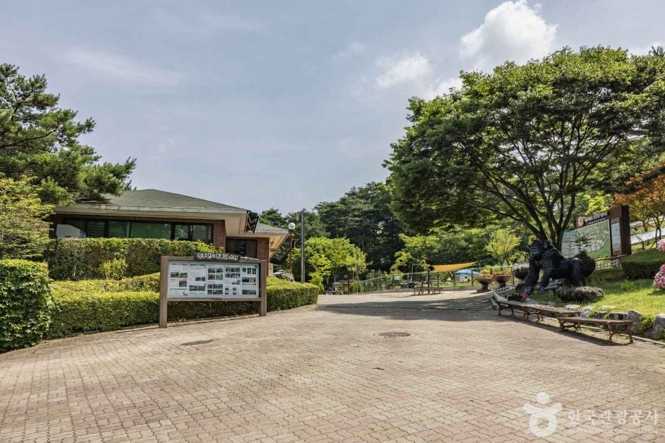 청주 동물원 이미지 7